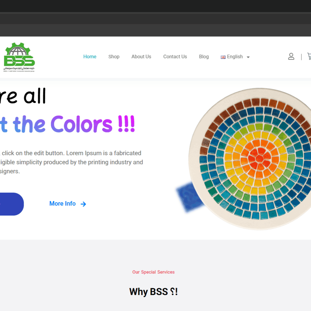 BSS Holding Website