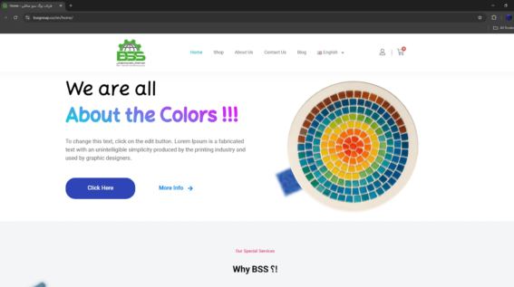 BSS Holding Website